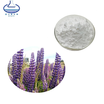 Pure Natural Lupine Extract Powder Lupeol 545-47-1