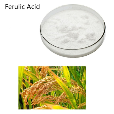 1135-24-6 Rice Bran Extract Soluble Trans Ferulic Acid Supplement