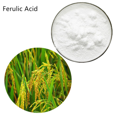 1135-24-6 Rice Bran Extract Soluble Trans Ferulic Acid Supplement